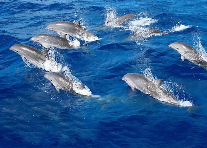 Spacious With Private Jacuzzi And Pool Access Dom wakacyjny